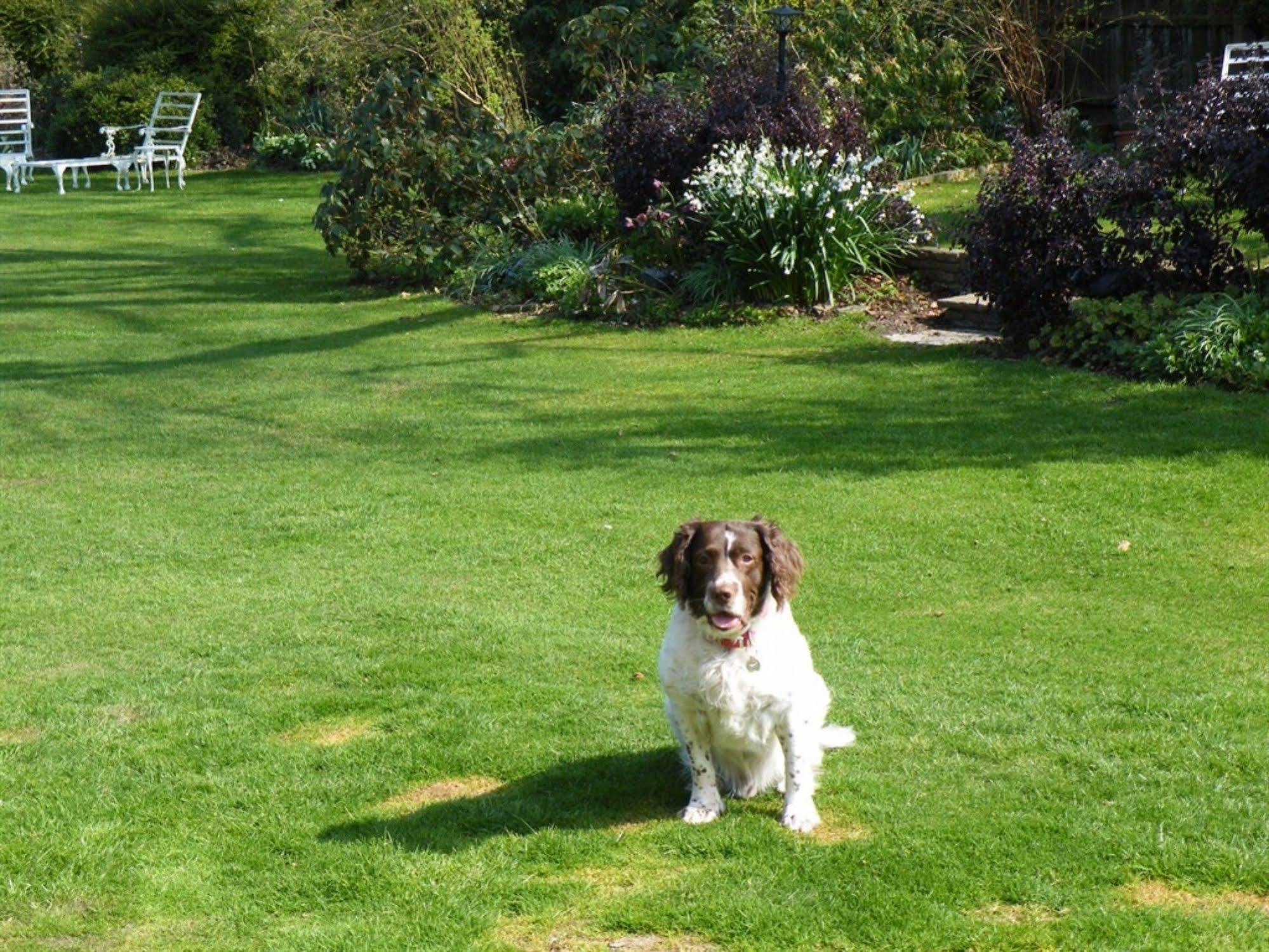 Bed and Breakfast Broadlands Gate Brockenhurst Esterno foto
