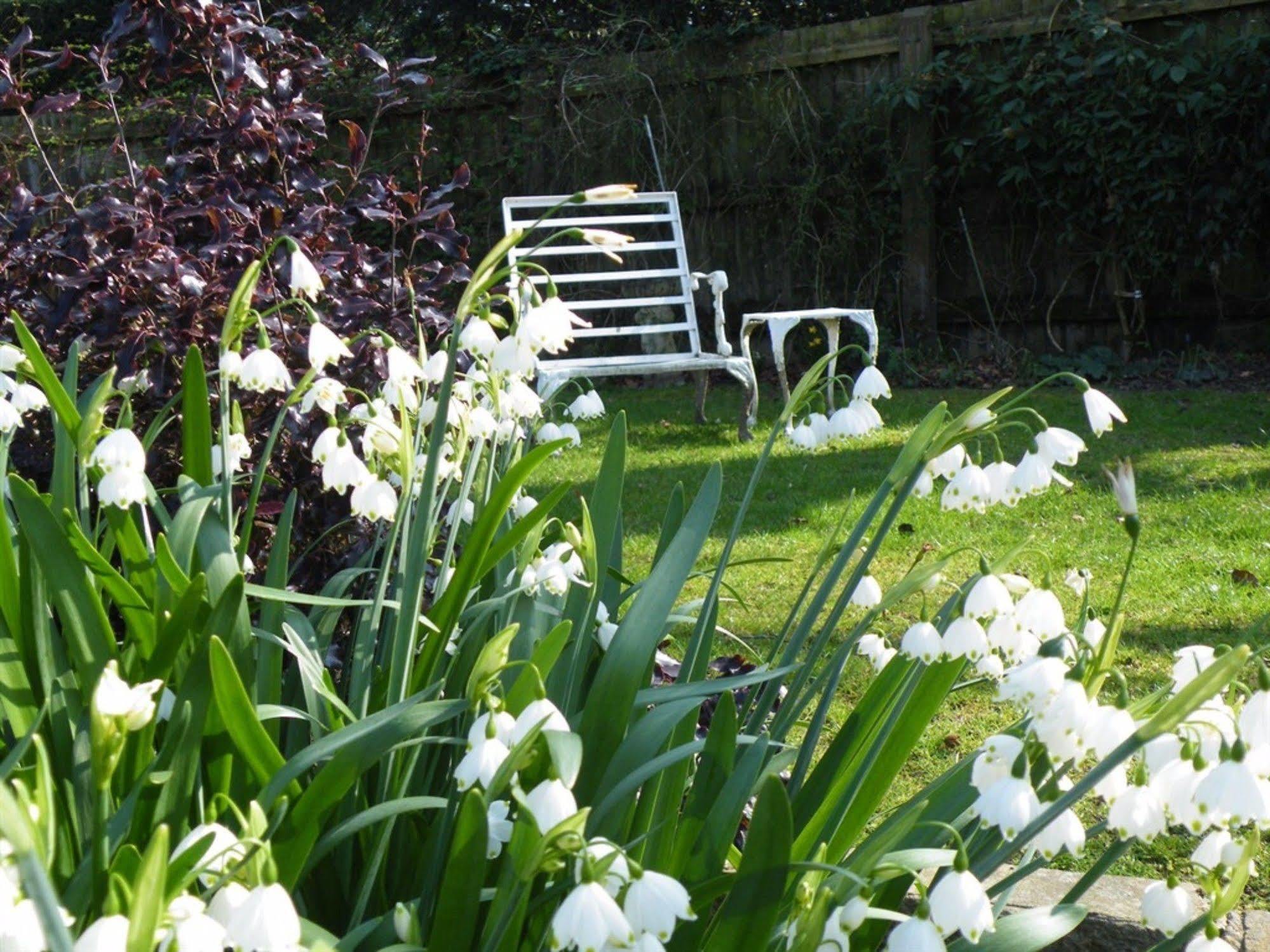 Bed and Breakfast Broadlands Gate Brockenhurst Esterno foto